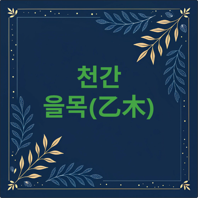 천간 을목